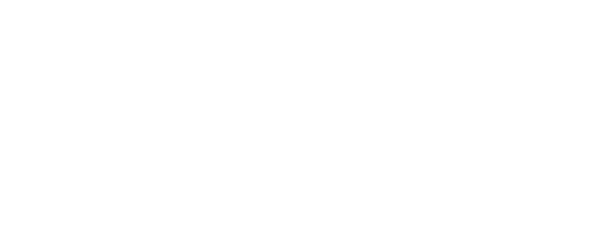 BEGI International
